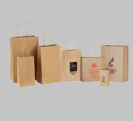 Buy Indian Theme Paper Bags online at Best Prices in USA- Desifavors